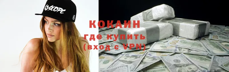 где купить наркоту  Аргун  hydra ССЫЛКА  COCAIN FishScale 