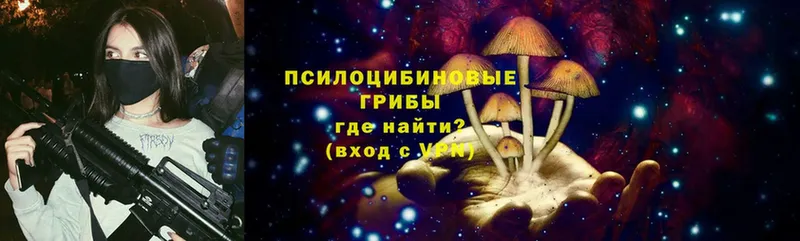 Псилоцибиновые грибы GOLDEN TEACHER  купить закладку  Аргун 